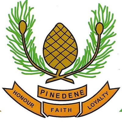 Pinedene Primary School