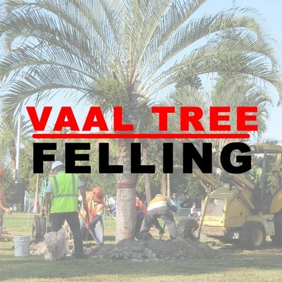 VAAL TREE FELLING