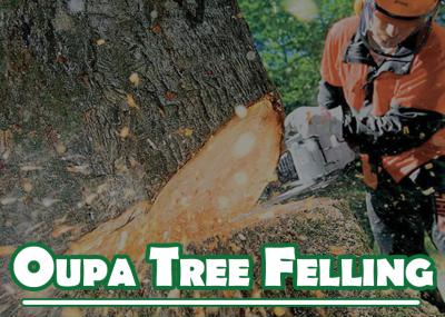 Oupa Tree Felling