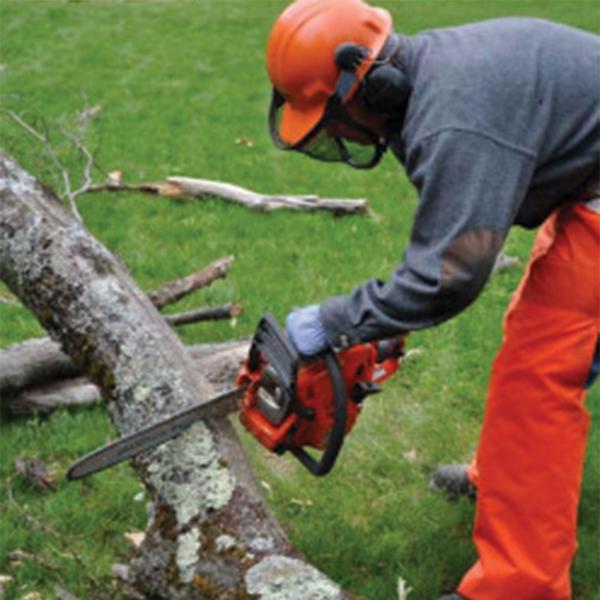 Vaal Arborist Tree Felling Stump Removal