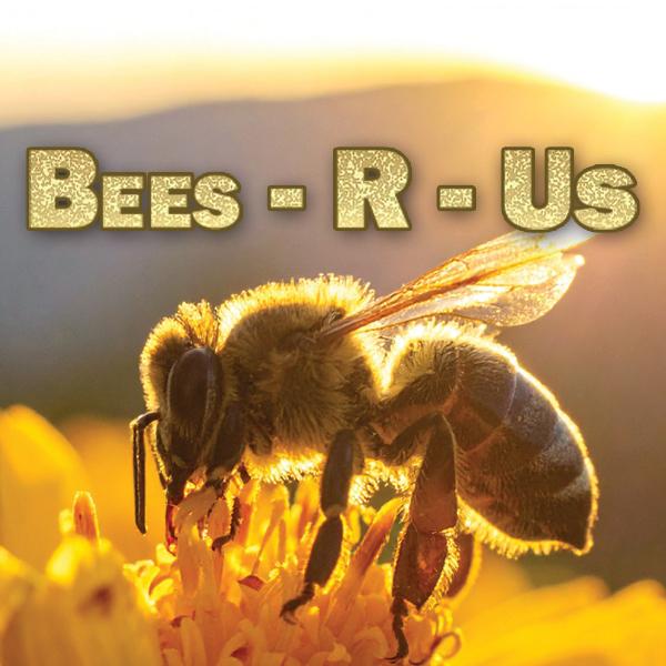 Bees R Us